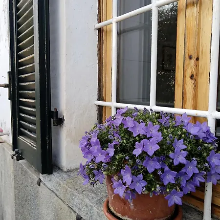 Botanicasuitetorino Daire Baldissero Torinese