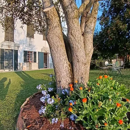 Botanicasuitetorino * Baldissero Torinese